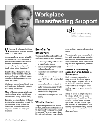 Breastfeeding support worker job description